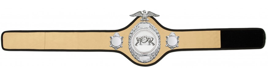 GRAPPLING CHAMPIONSHIP BELT - PRO288/S/GRAPS - 10 COLOURS